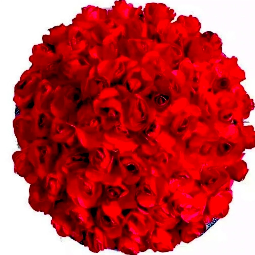 Indian Gajra Flower Rose Hair Bun.  NWOT